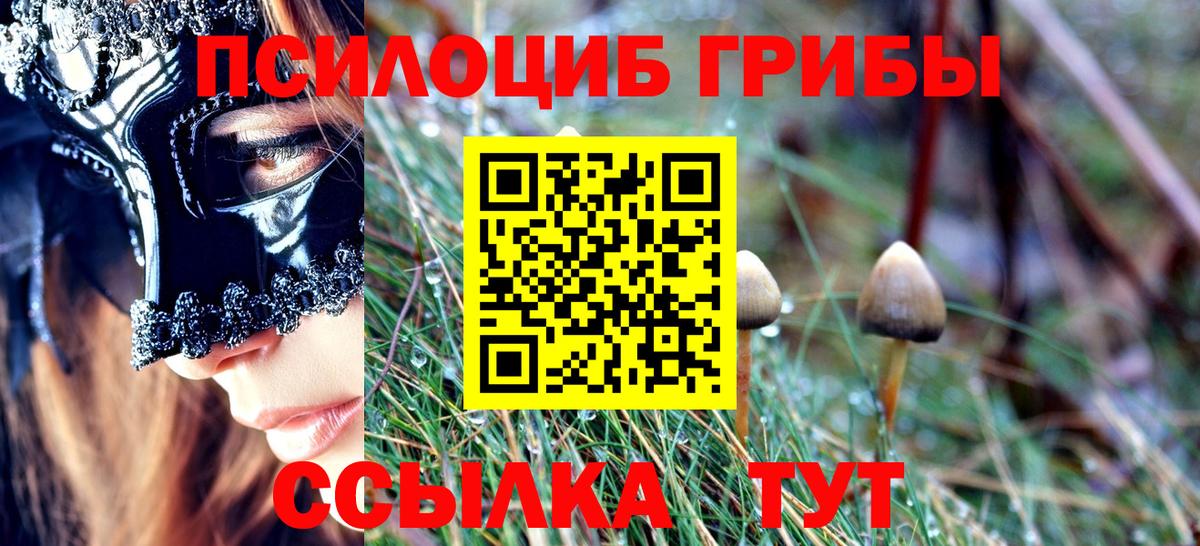 Аша  Галлюциногенные грибы Psilocybe  Вход с VPN 