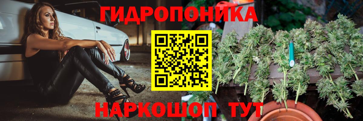 Канабис SATIVA & INDICA Аша